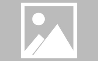 鄢陵广州专业搭建网站平台（广州网站建设方案开发）